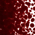 Garnet Red Transparent, Coarse Frit, Fusible
