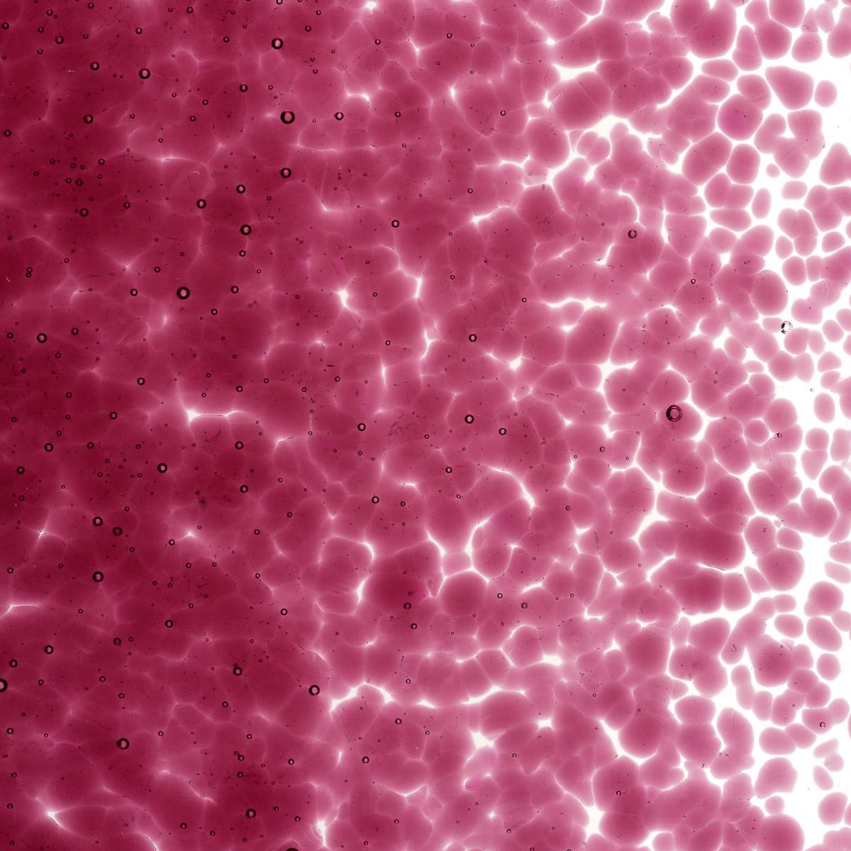 Fuchsia Transparent, Medium Frit, Fusible