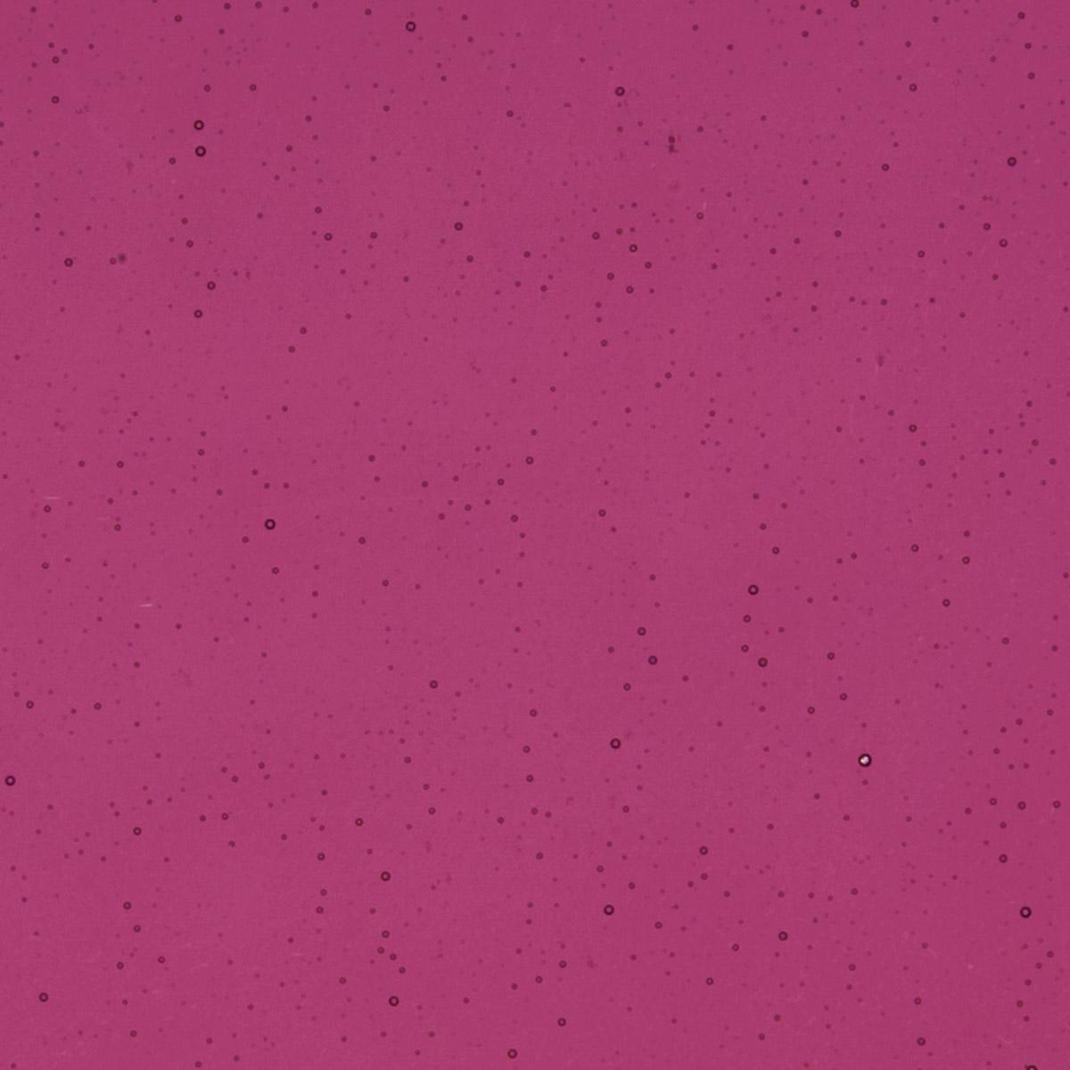 Fuchsia Transparent, Double-rolled, 3 mm, Fusible