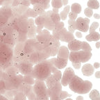 Light Plum Transparent, Coarse Frit, Fusible