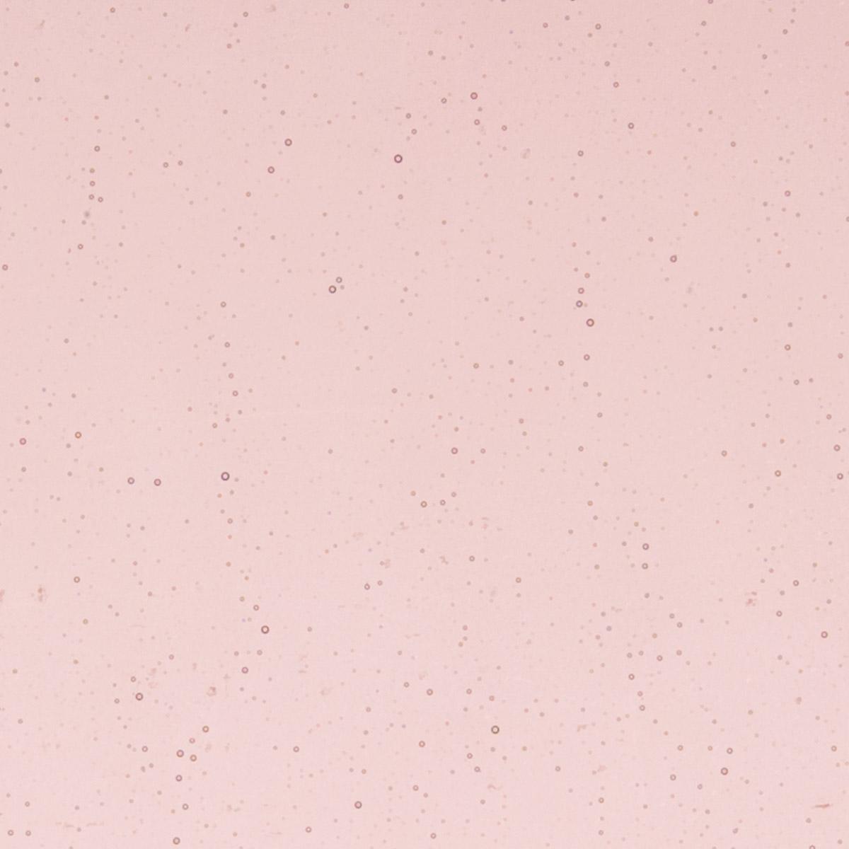 Light Plum Transparent, Thin-rolled, 2 mm, Color Sample, 2 x 2 in.