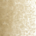 Light Bronze Transparent, Medium Frit, Fusible