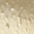 Light Bronze Transparent, Double-rolled, Iridescent, gold, 3 mm, Color Sample, 2 x 2 in.