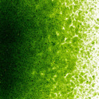 Light Aventurine Green Transparent, Fine Frit, Fusible