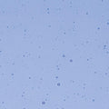 Light Sky Blue Transparent, Double-rolled, 3 mm, Color Sample, 2 x 2 in.