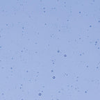 Light Sky Blue Transparent, Double-rolled, 3 mm, Color Sample, 2 x 2 in.