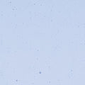 Light Sky Blue Transparent, Thin-rolled, 2 mm, Color Sample, 2 x 2 in.
