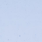 Light Sky Blue Transparent, Thin-rolled, 2 mm, Color Sample, 2 x 2 in.