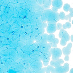 Light Turquoise Blue Transparent, Coarse Frit, Fusible