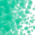 Emerald Green Transparent, Coarse Frit, Fusible