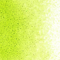 Spring Green Transparent, Fine Frit, Fusible