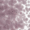Light Violet Transparent, Coarse Frit, Fusible