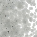 Light Silver Gray Transparent, Coarse Frit, Fusible