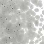 Light Silver Gray Transparent, Coarse Frit, Fusible
