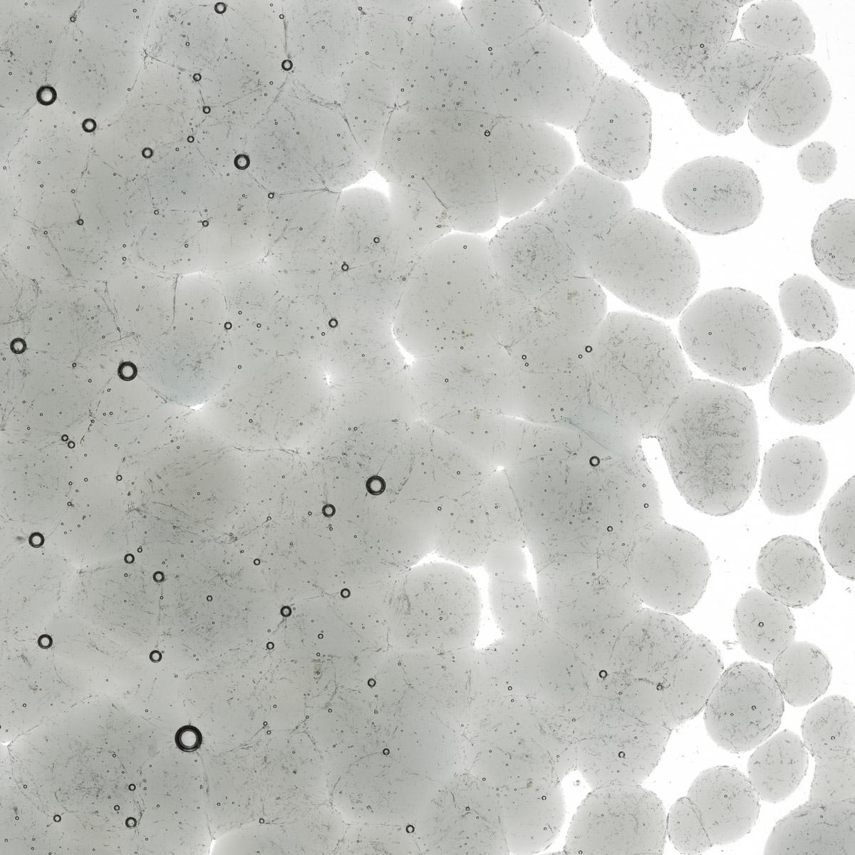 Light Silver Gray Transparent, Coarse Frit, Fusible