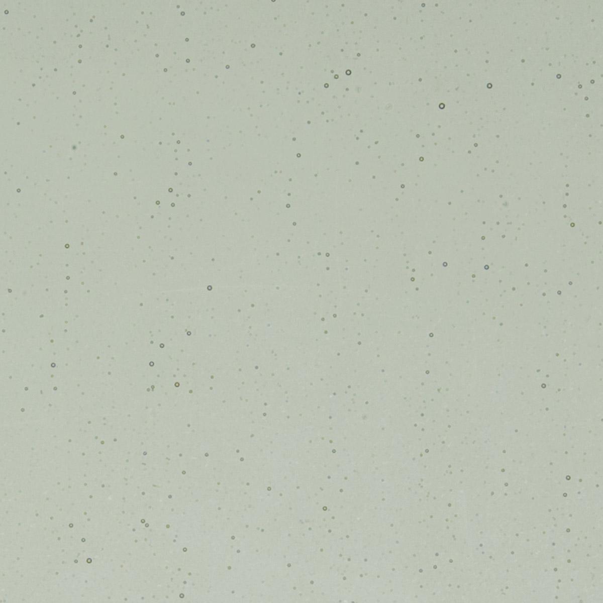 Light Silver Gray Transparent, Double-rolled, 3 mm, Color Sample, 2 x 2 in.