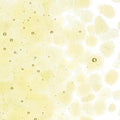 Light Amber Transparent, Coarse Frit, Fusible