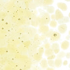 Light Amber Transparent, Coarse Frit, Fusible