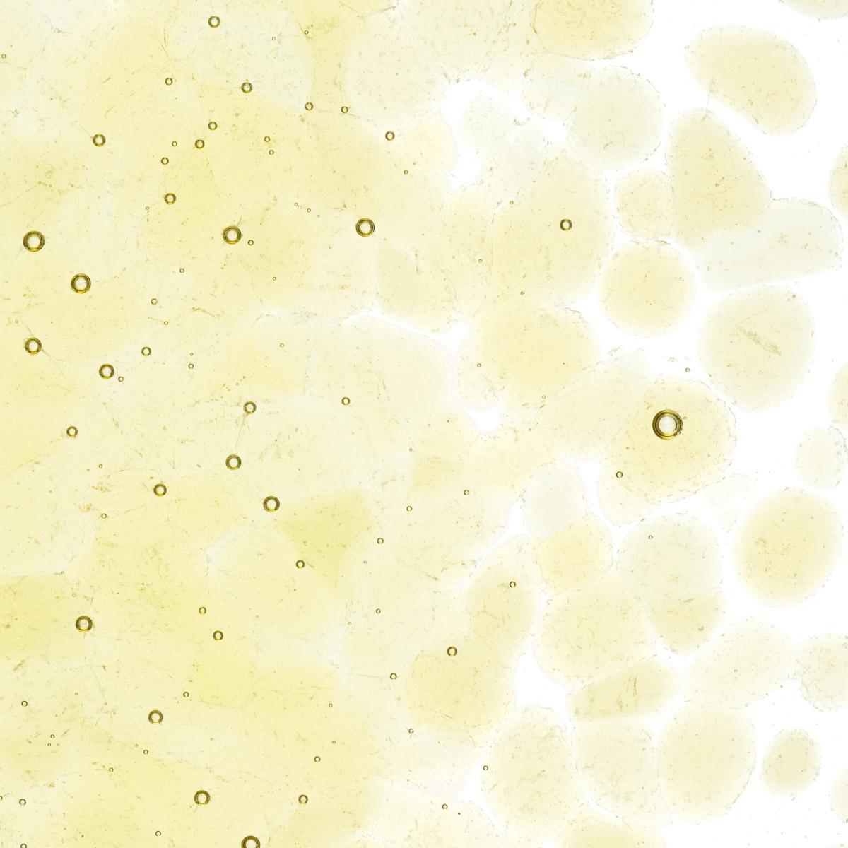 Light Amber Transparent, Coarse Frit, Fusible