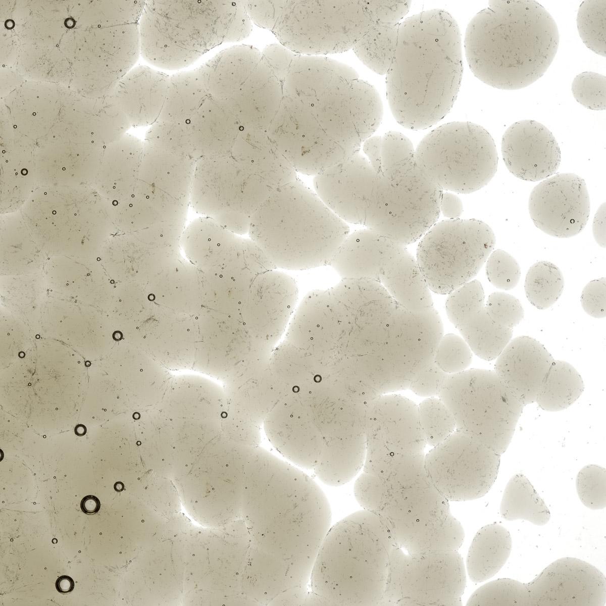 Khaki Transparent, Coarse Frit, Fusible