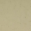 Khaki Transparent, Double-rolled, 3 mm, Fusible