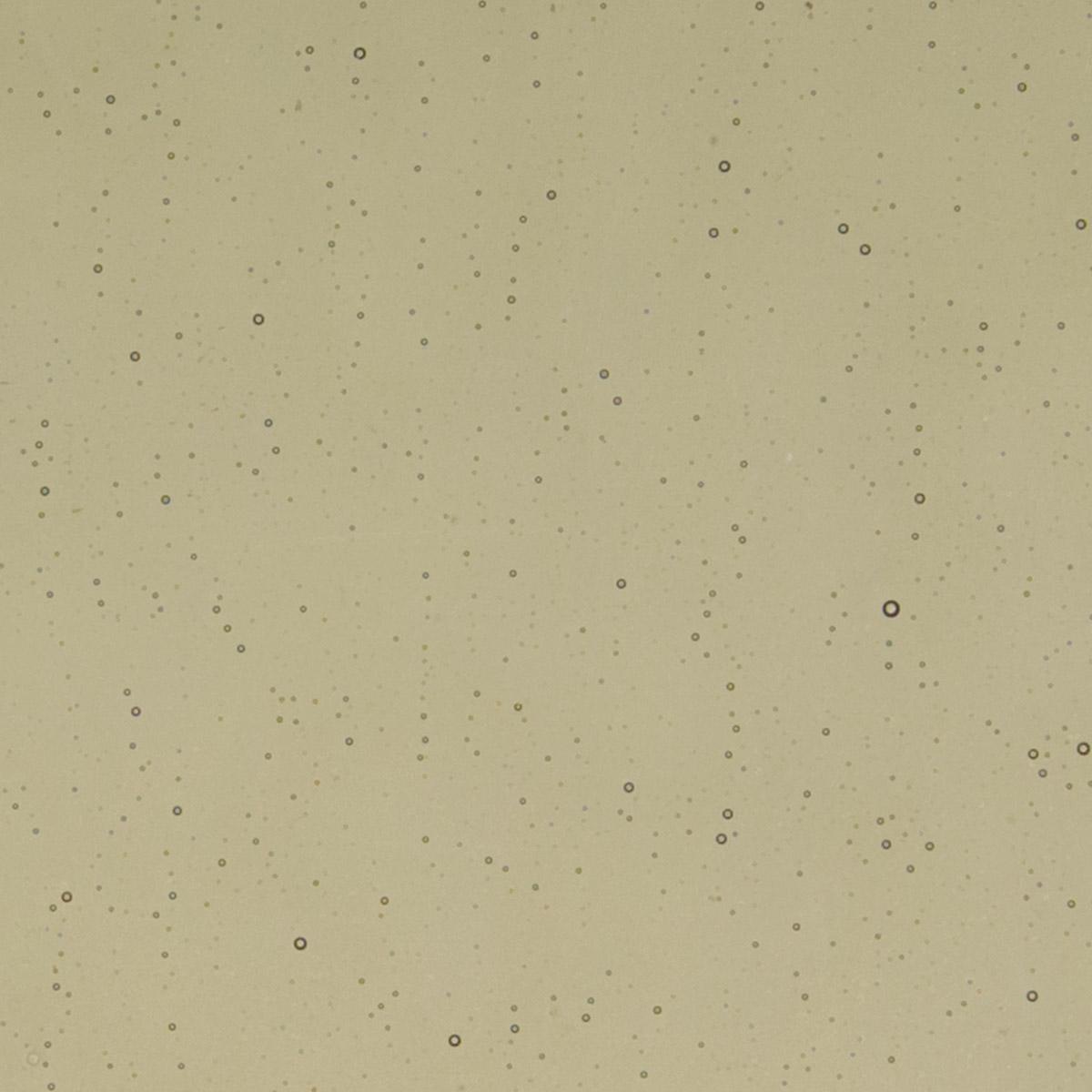 Khaki Transparent, Double-rolled, 3 mm, Fusible