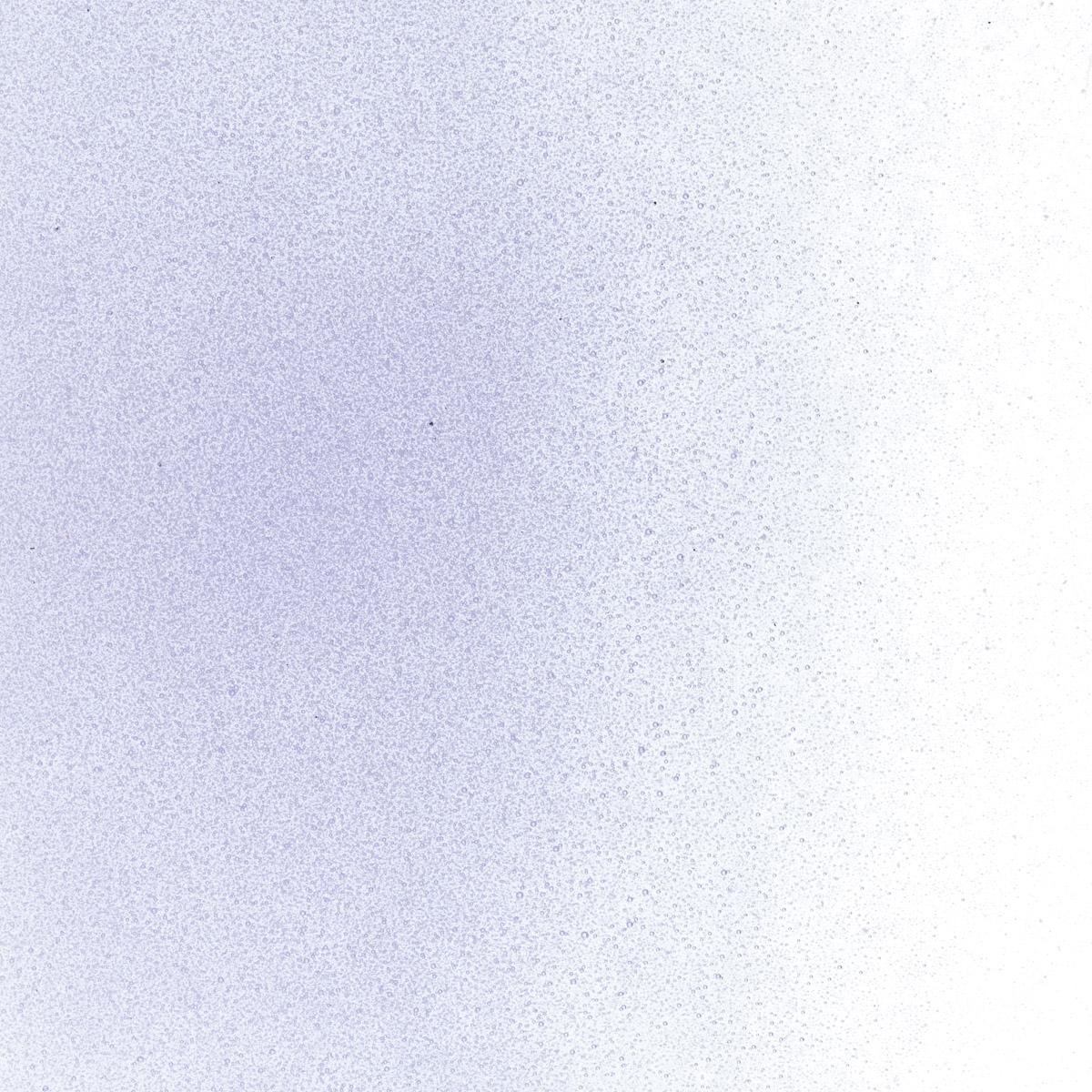 Neo-Lavender Shift Transparent, Powder Frit, Fusible