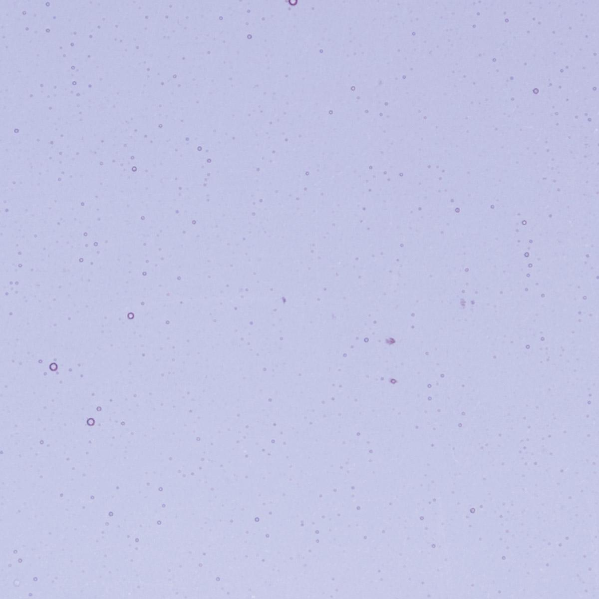 Neo-Lavender Shift Transparent, Double-rolled, 3 mm, Color Sample, 2 x 2 in.