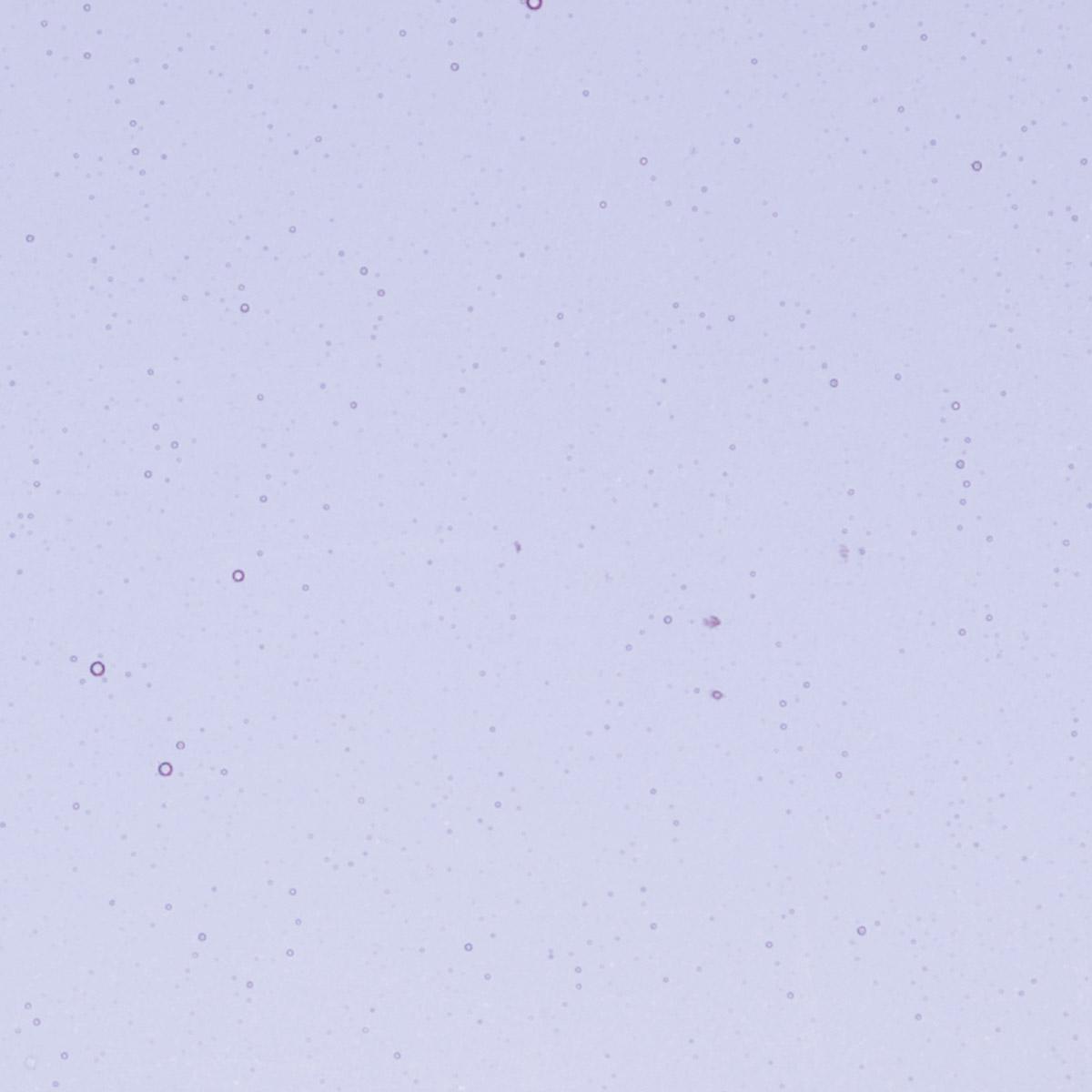 Neo-Lavender Shift Transparent, Thin-rolled, 2 mm, Color Sample, 2 x 2 in.