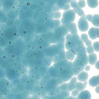 Sea Blue Transparent, Coarse Frit, Fusible