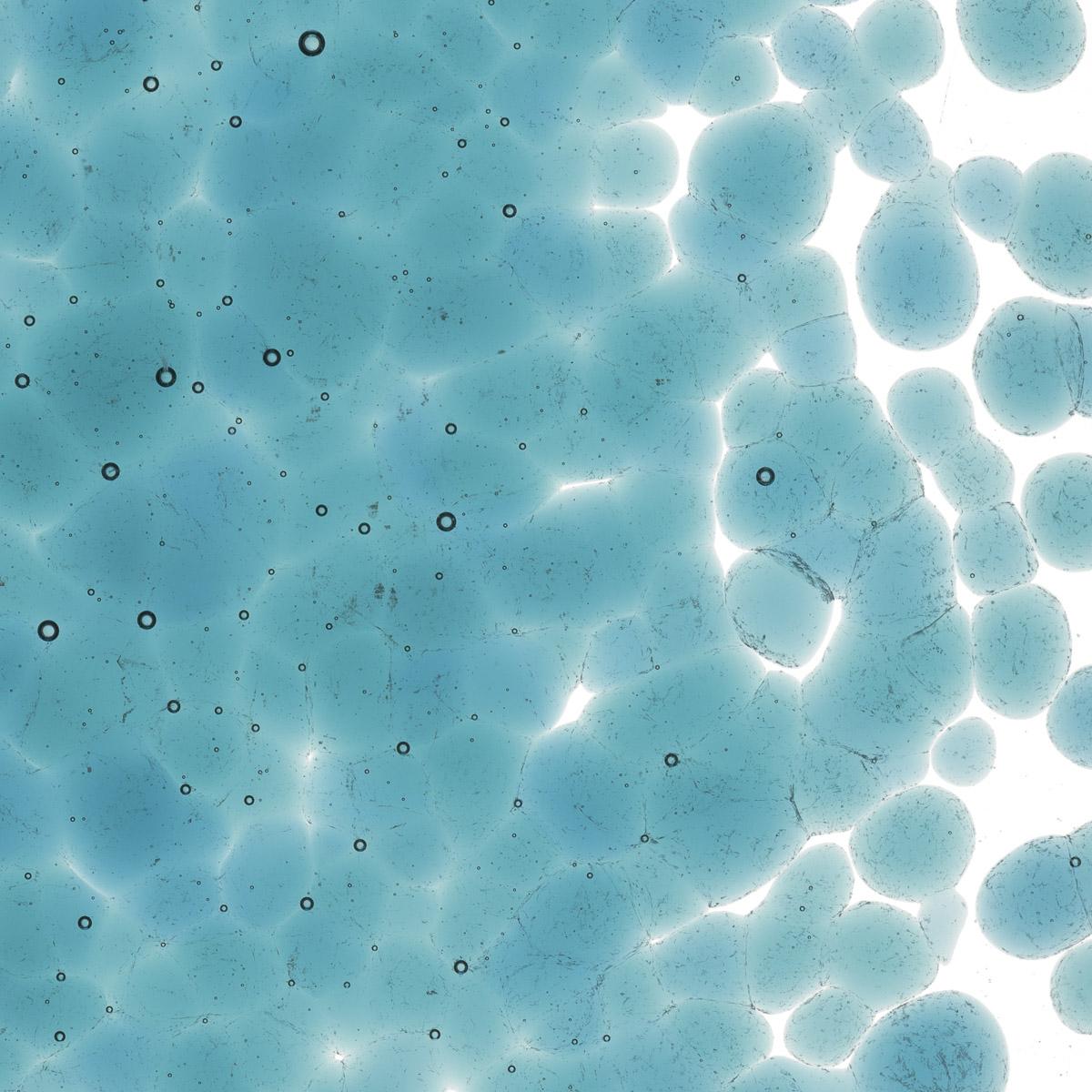 Sea Blue Transparent, Coarse Frit, Fusible