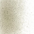 Oregon Gray Transparent, Fine Frit, Fusible