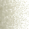 Oregon Gray Transparent, Medium Frit, Fusible