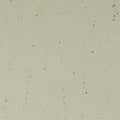 Oregon Gray Transparent, Double-rolled, 3 mm, Fusible