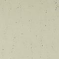 Oregon Gray Transparent, Thin-rolled, 2 mm, Color Sample, 2 x 2 in.