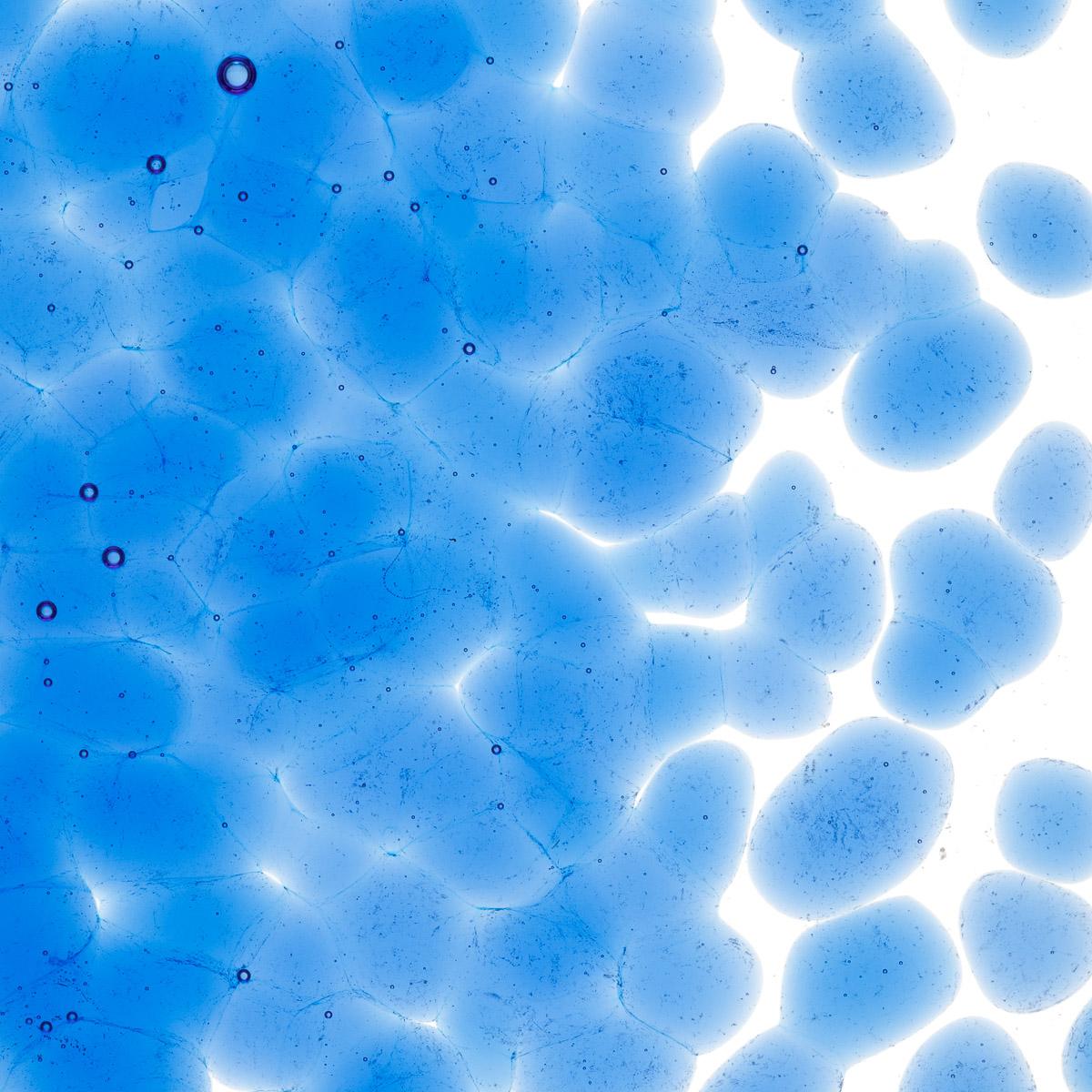 True Blue Transparent, Coarse Frit, Fusible