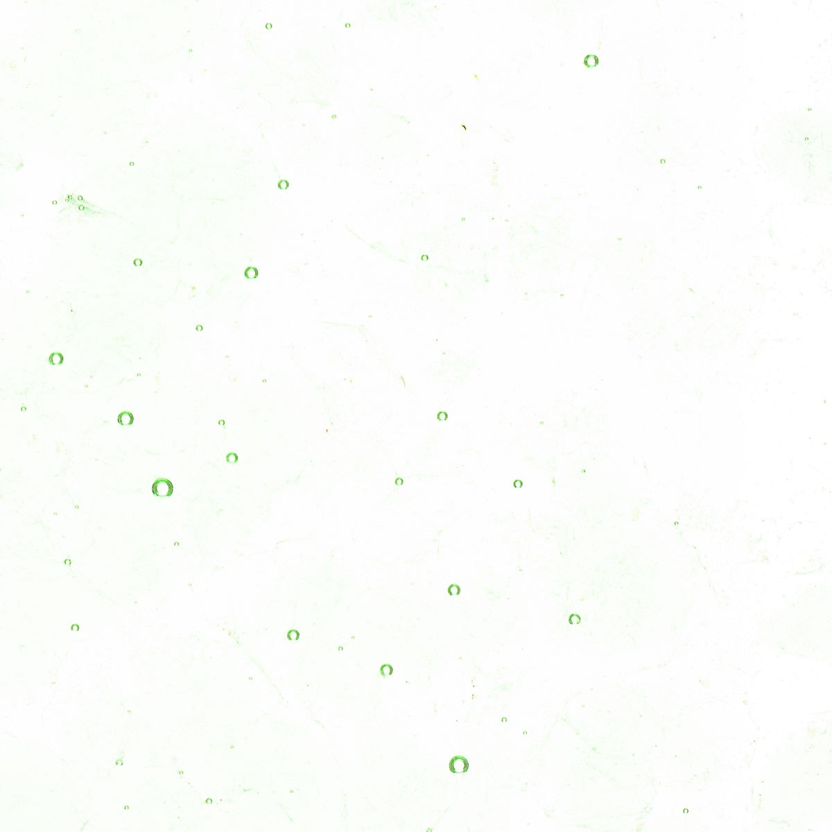 Grass Green Tint, Coarse Frit, Fusible
