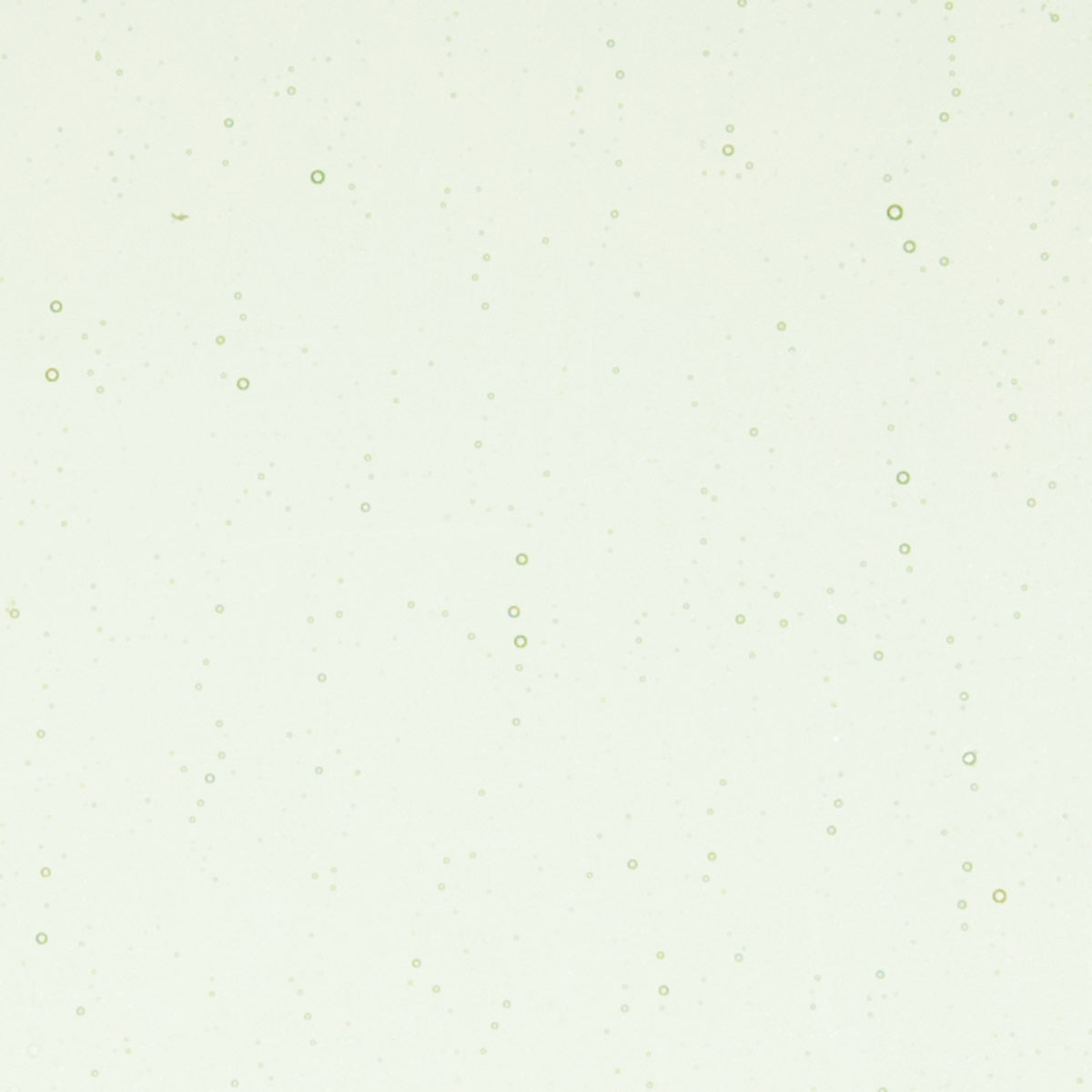 Grass Green Tint, Double-rolled, 3 mm, Color Sample, 2 x 2 in.
