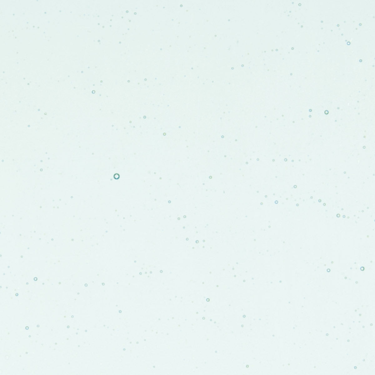 Aqua Blue Tint, Double-rolled, 3 mm, Color Sample, 2 x 2 in.