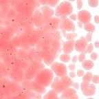 Burnt Scarlet Striker Tint, Coarse Frit, Fusible