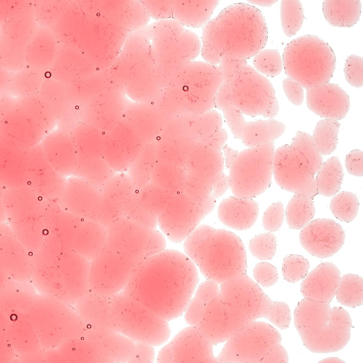 Burnt Scarlet Striker Tint, Coarse Frit, Fusible