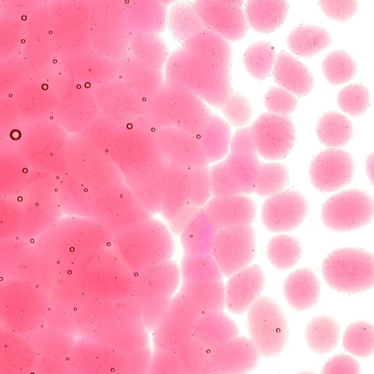 Ruby Red Striker Tint, Coarse Frit, Fusible