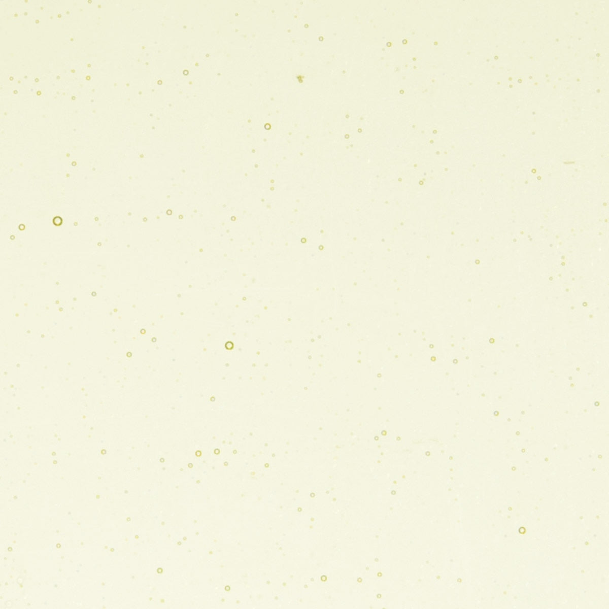 Green Tea Tint, Double-rolled, 3 mm, Fusible