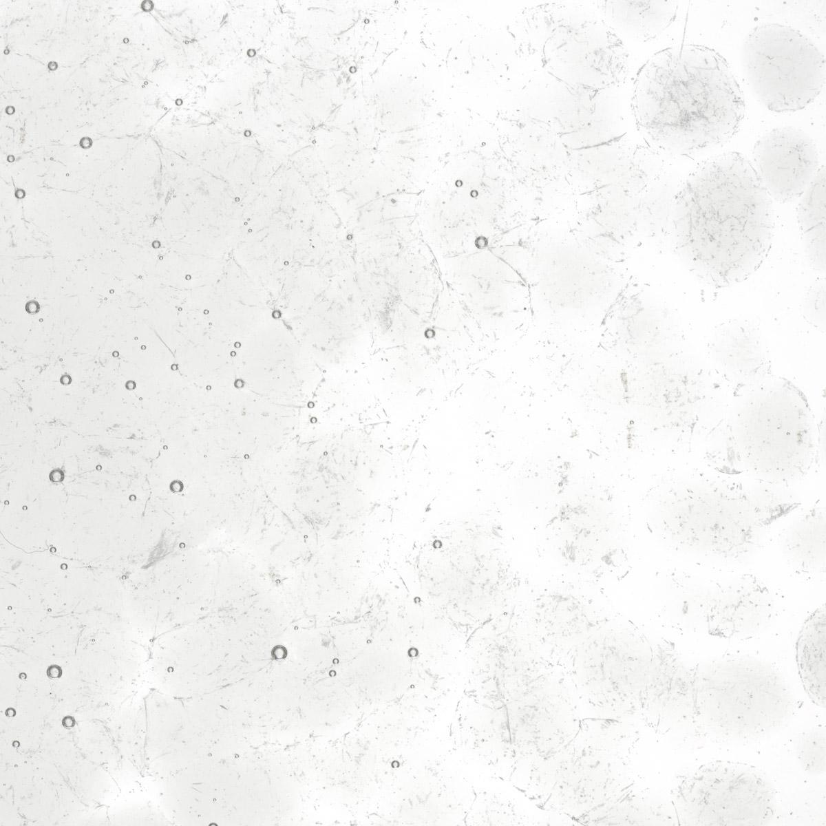 Gray Tint, Coarse Frit, Fusible