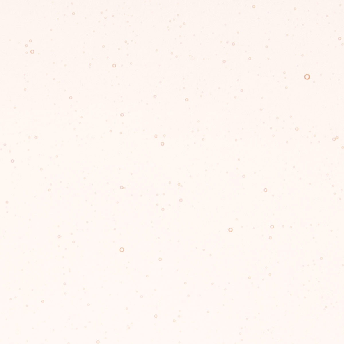 Coral Orange Tint, Double-rolled, 3 mm, Color Sample, 2 x 2 in.