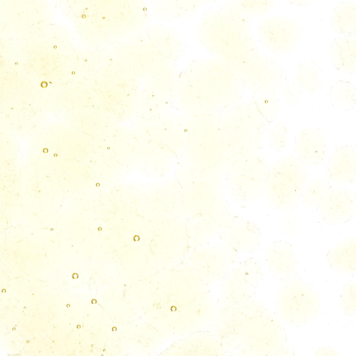 Medium Amber Tint, Coarse Frit, Fusible