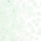 Spruce Green Tint, Coarse Frit, Fusible