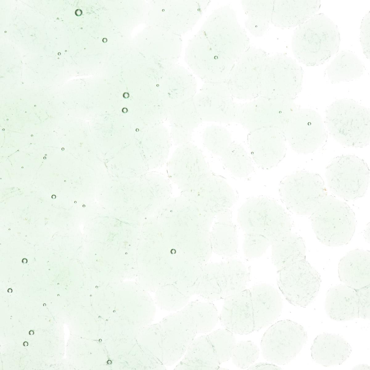 Spruce Green Tint, Coarse Frit, Fusible