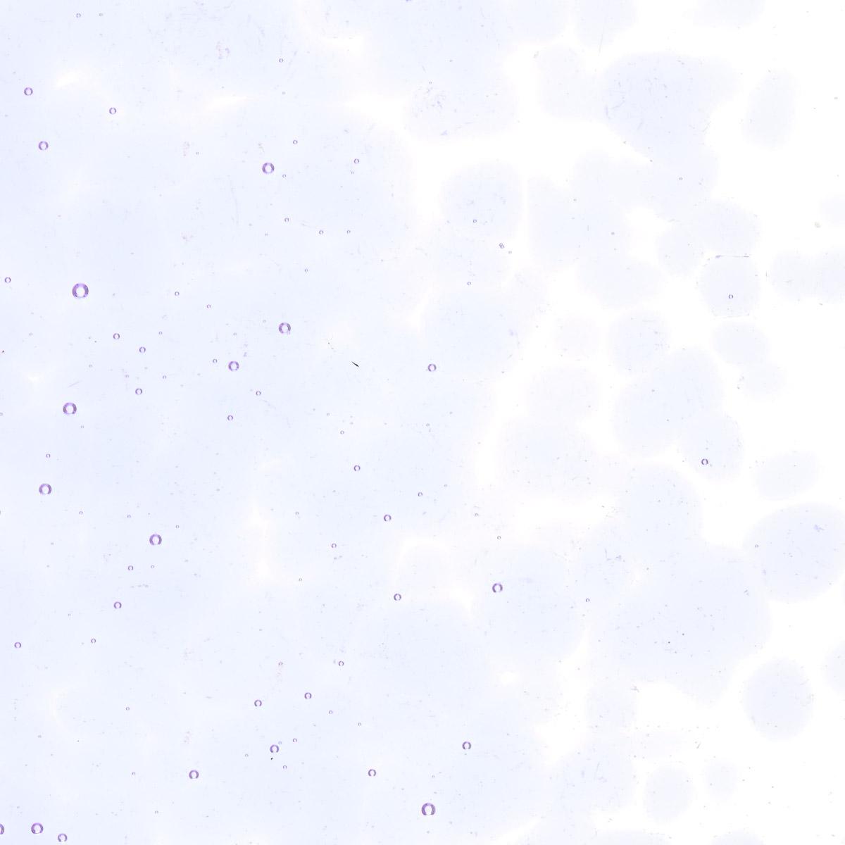 Light Neo-Lavender Shift Tint, Coarse Frit, Fusible