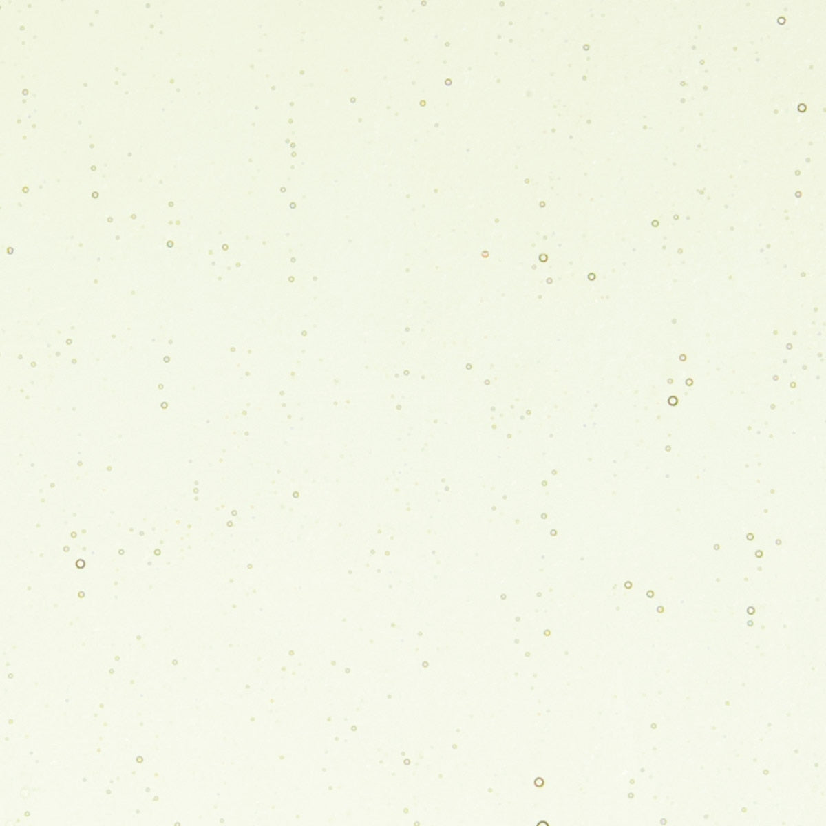 Olivine Tint, Double-rolled, 3 mm, Color Sample, 2 x 2 in.
